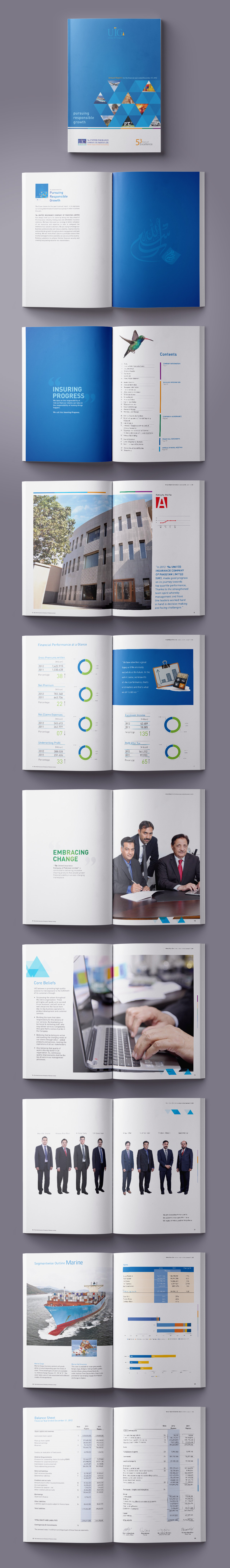 Annual Report for United Insurance Group