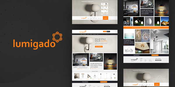 Home Pages Designs for Lumigado