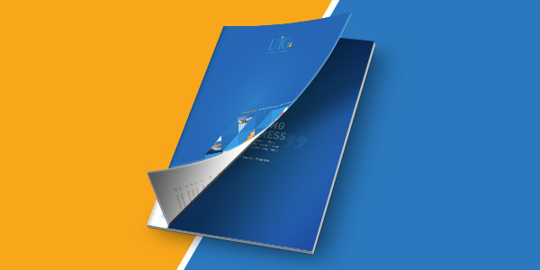 Annual Report for United Insurance Group